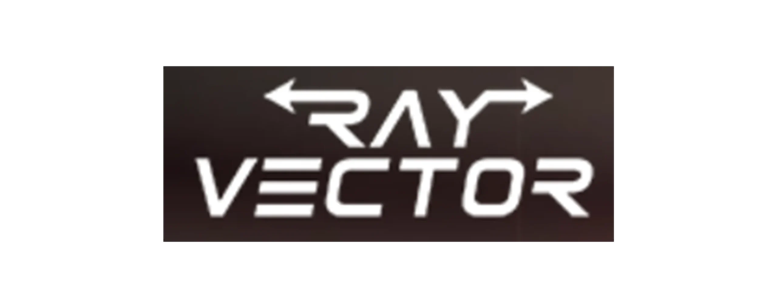 ray factor